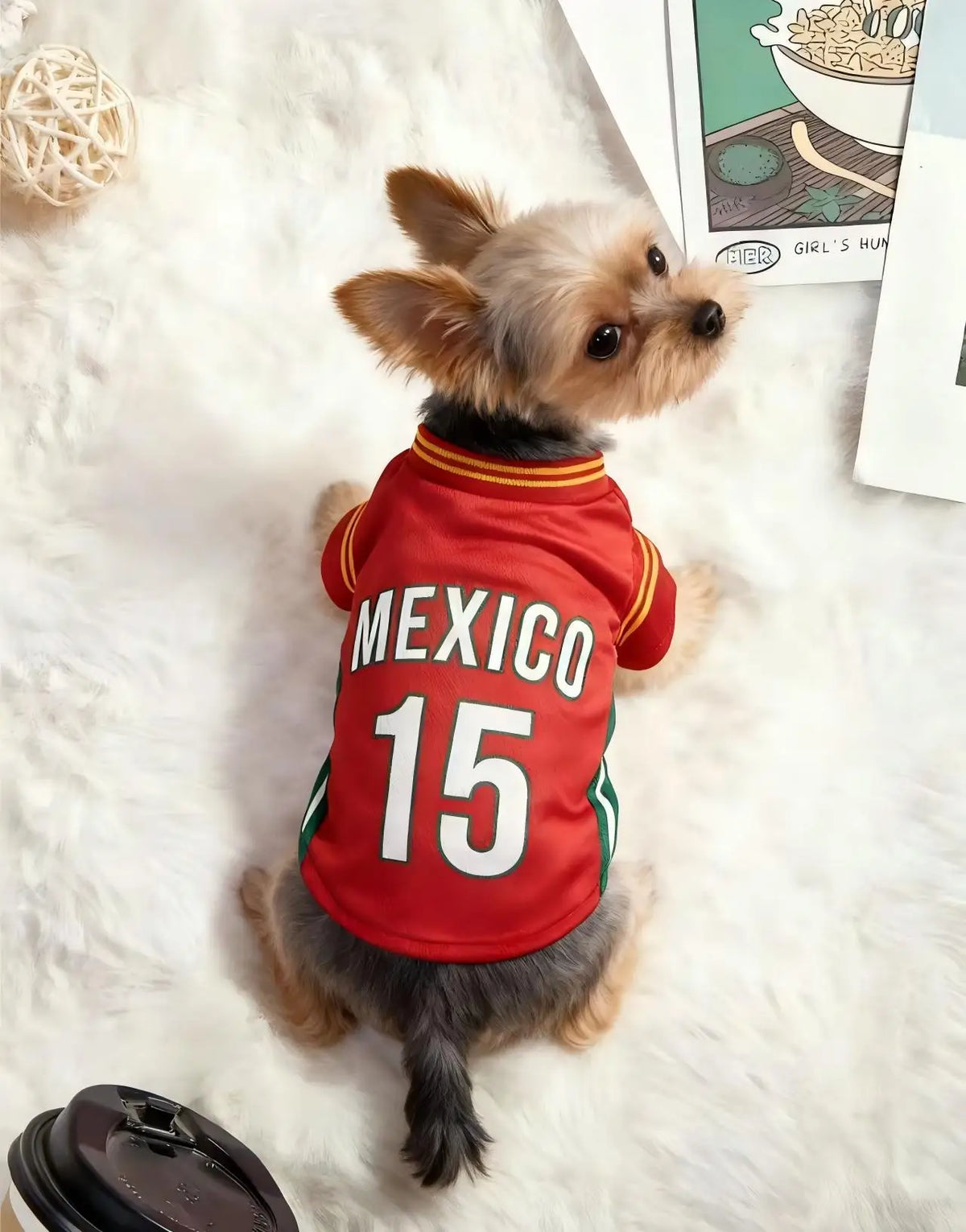 Pet clothing short-sleeved football shirt for small, medium, and large dogs and cats, spring/summer style