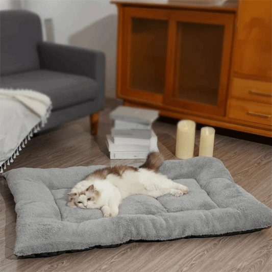 Warm Dog Bed Mat Surrounding Style Super Soft Pet Plush Pad Comfortable Non-slip Cat Cage Mattress for Cats and Dogs
