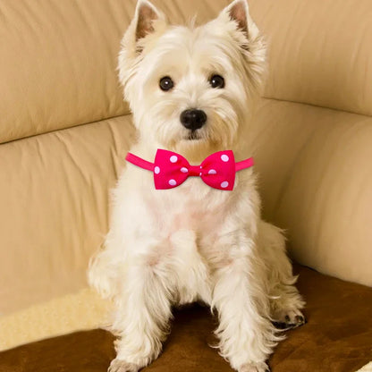 10pcs Pet Accessories Small Dog Bow Tie For Puppy Dog Bowties Collar Adjustable Girl Dogs Bowtie For Cat Dog Collar Pet Supplier