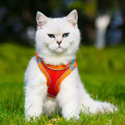 Cat Dog Harness Vest Chest Rope Set Reflective Breathable Adjustable Pet Harness for Small Medium Dogs Outdoor Walking